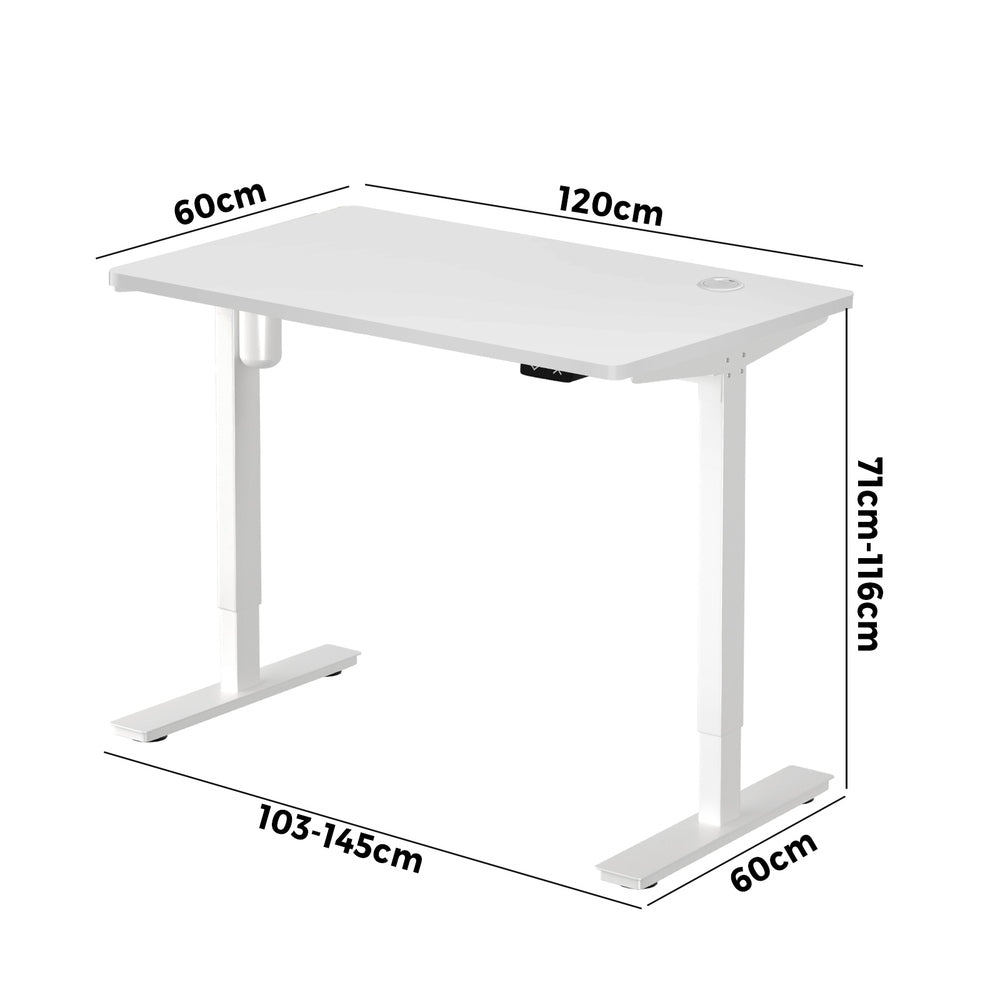 Electric Standing Desk Single Motor 120cm White and Walnut