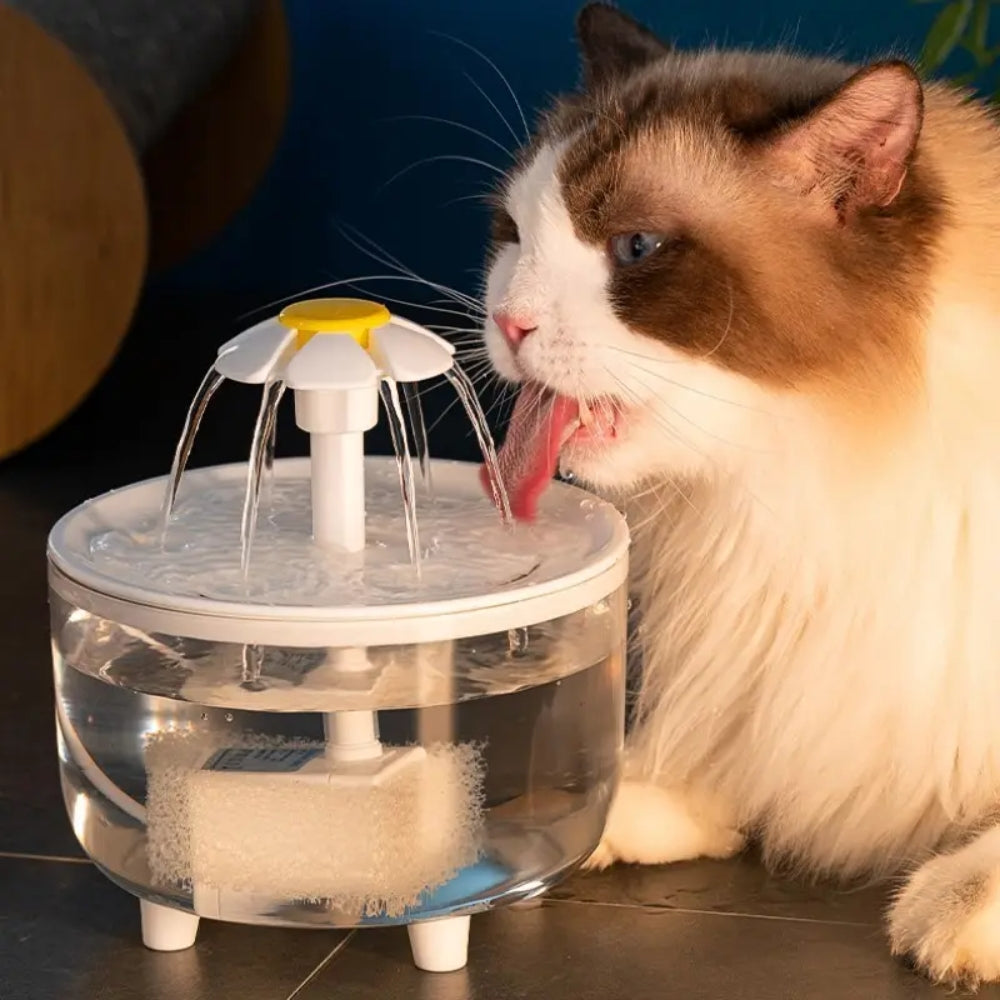 Auto Pet Water Fountain Bowl for Cats & Dogs